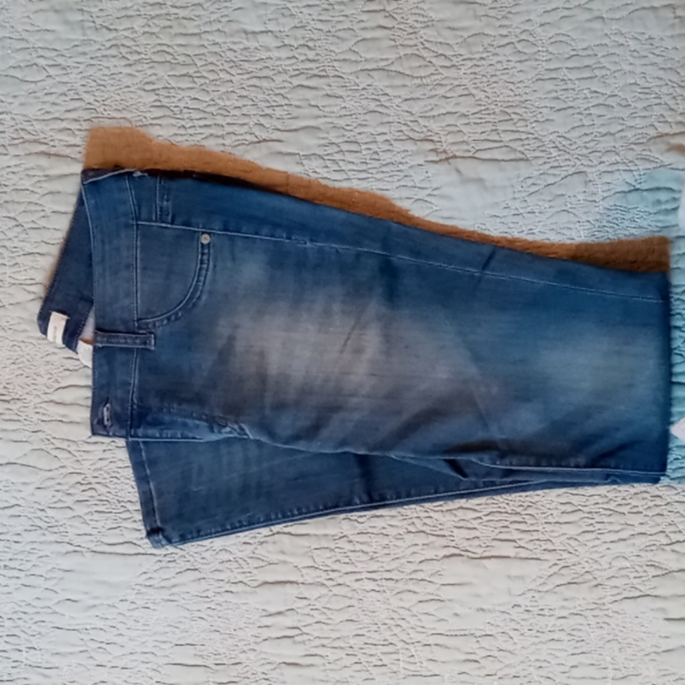 Gently used BLUEASPHALT Jeggins Size Large